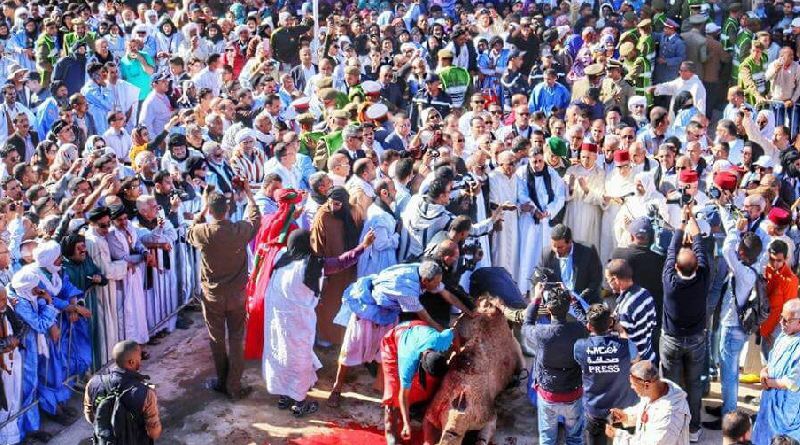 البنيات الاجتماعية و الرهان الديموقراطي بالمجال الصحراوي
